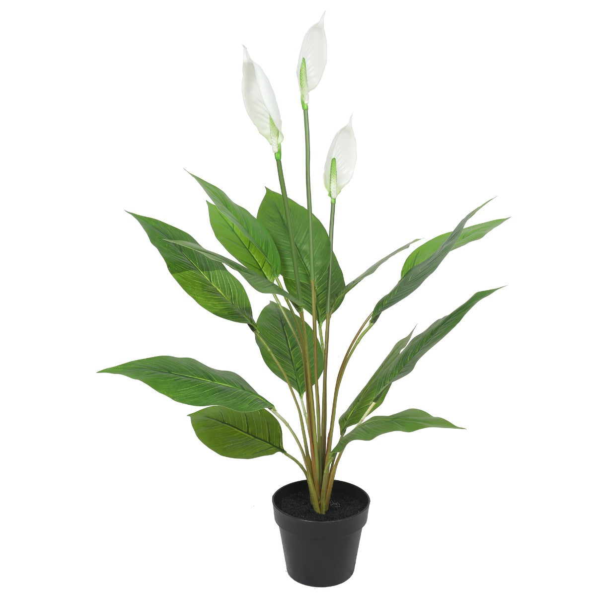 Artificial Flowering White Peace Lily / Calla Lily 95cm  Mecora AU