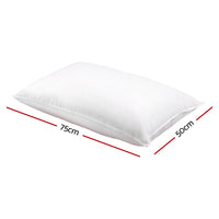 Set of 2 Goose Feather and Down Pillow - White