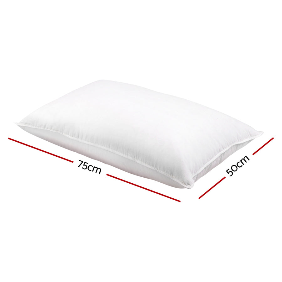 Set of 2 Goose Feather and Down Pillow - White