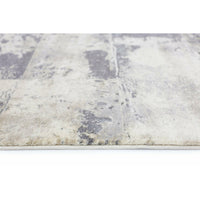 Alyssum Grey Beige Textured Modern Rug 200x290 cm