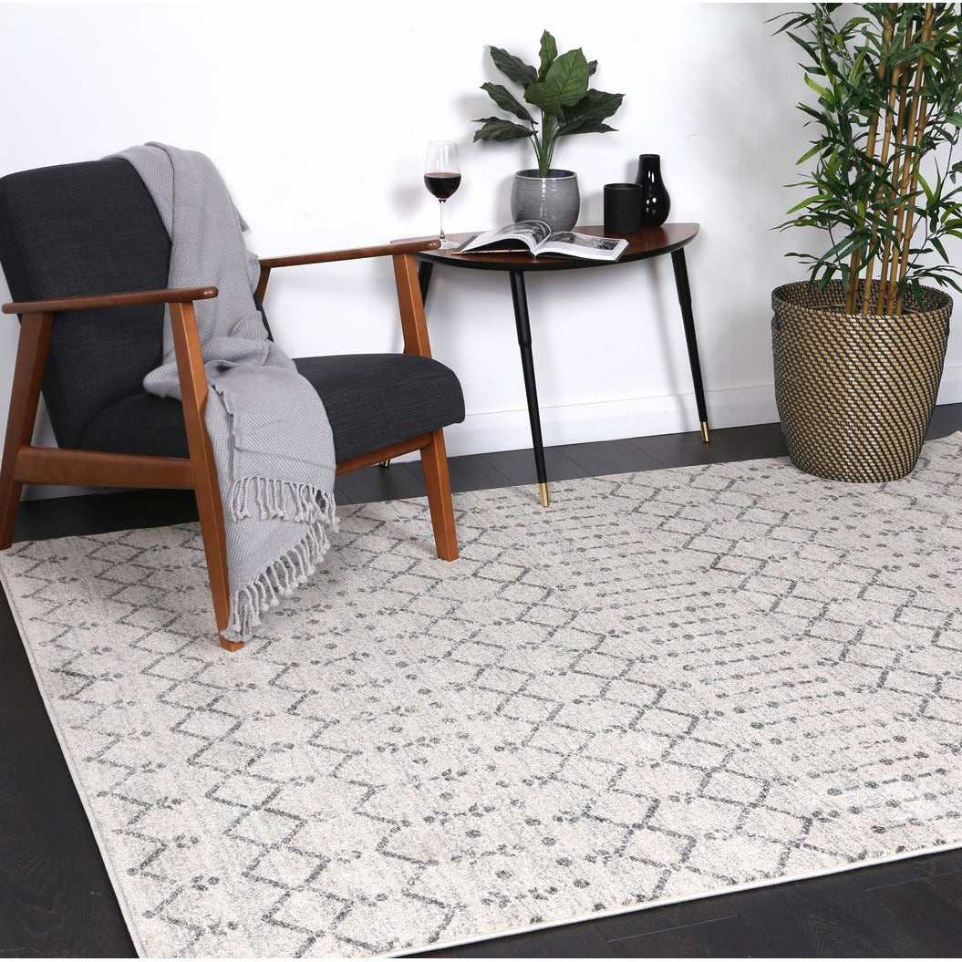 Delicate Grey Modern Rug 160x230 cm