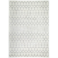 Delicate Grey Modern Rug 200x290 cm