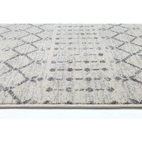 Delicate Grey Modern Rug 200x290 cm