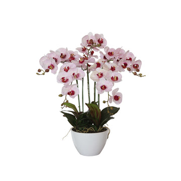 66cm Artificial Multi Butterfly Orchid - Pink